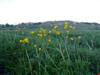 Yari Ghari Protected Area