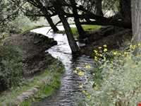 Yari Ghari Protected Area