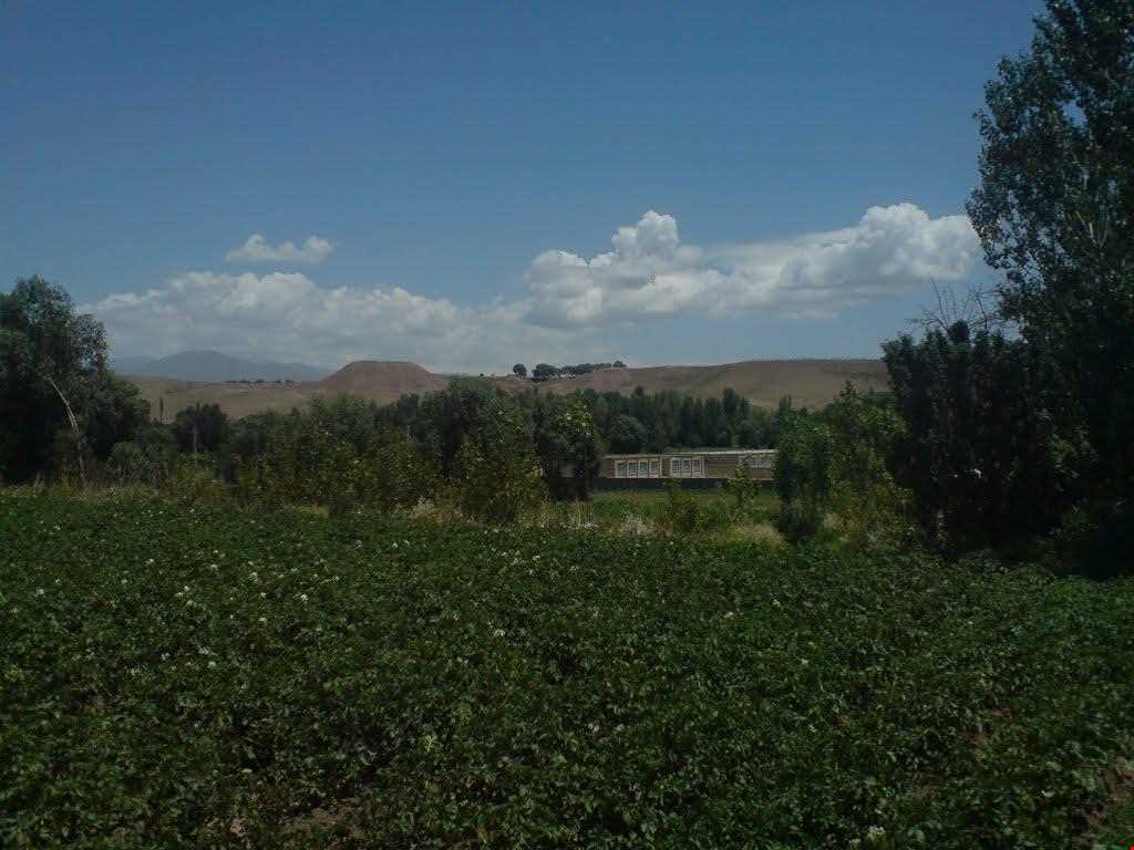 روستای شیره جین