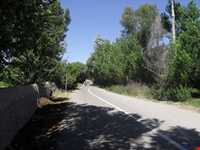 روستای شیره جین