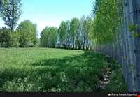 روستای شیره جین