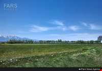 روستای شیره جین