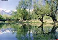 روستای اسبفروشان