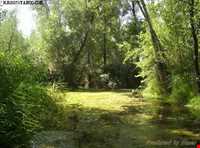 روستای اسبفروشان