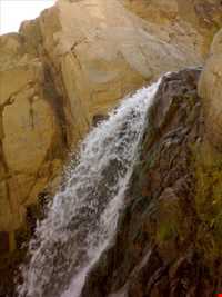 روستای اسبفروشان