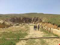 نگاره‌های سنگی ویر (داش کسن)