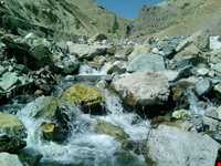 Bozgosh Protected Area