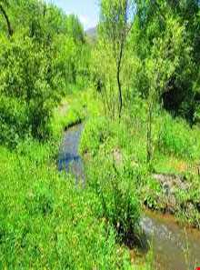 روستای شالقون