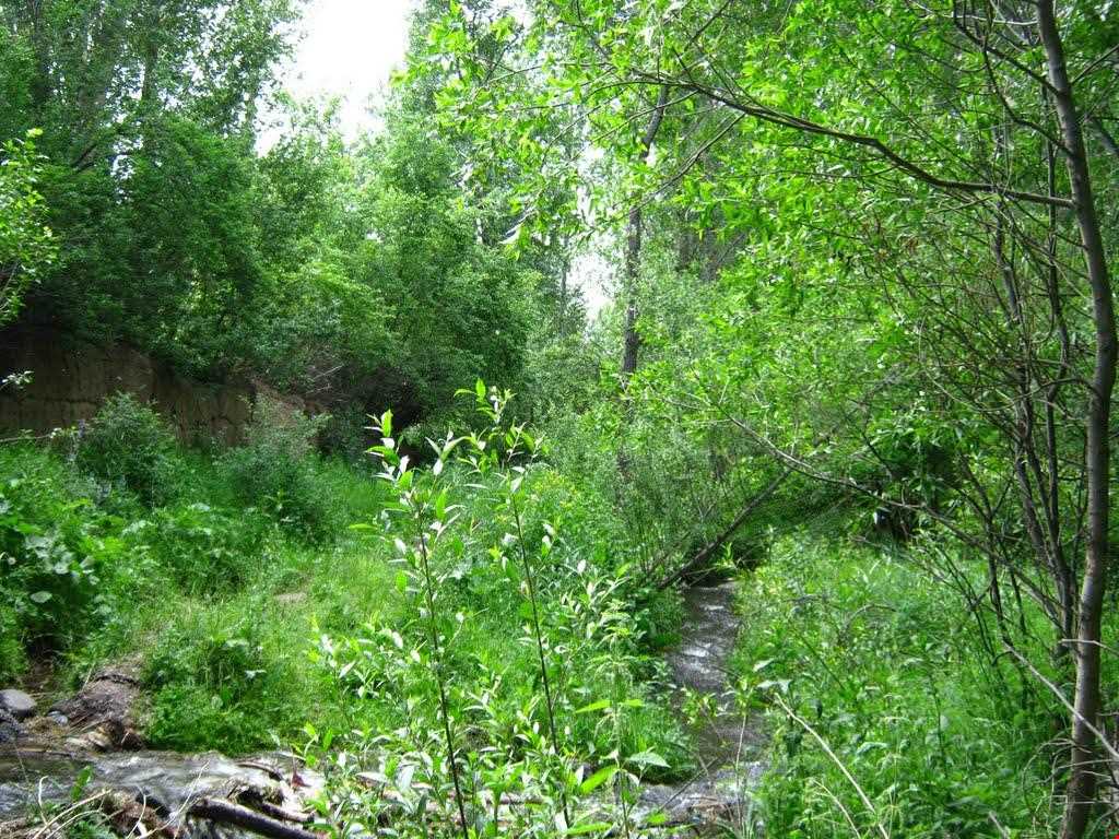 روستای شالقون