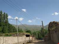 روستای شالقون