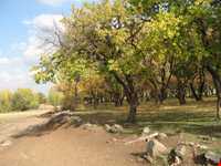 روستای شالقون