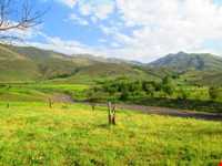 روستای شالقون