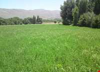 روستای شالقون