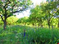 روستای شالقون