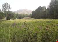 روستای شالقون