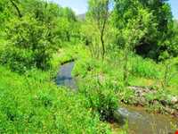 روستای شالقون