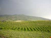 روستای توشمانلو