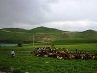روستای توشمانلو
