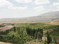 روستای توشمانلو