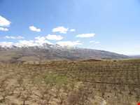 روستای توشمانلو