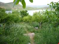 روستای توشمانلو