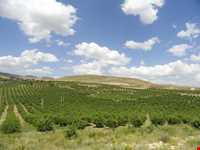 روستای توشمانلو