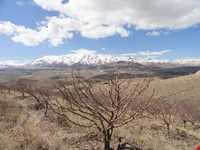 روستای توشمانلو