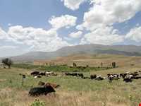 روستای توشمانلو