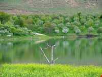 روستای توشمانلو