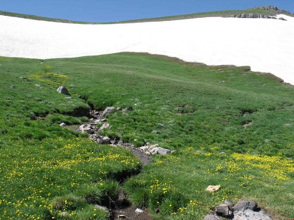 قله قوشاداغ