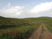 قله قوشاداغ