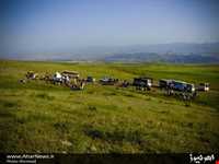 قله قوشاداغ