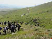 قله قوشاداغ