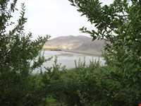 تفرجگاه افیل شامی