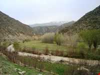 تفرجگاه افیل شامی