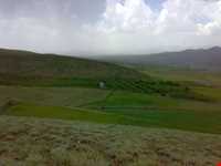 تفرجگاه افیل شامی