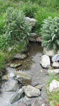 تفرجگاه افیل شامی