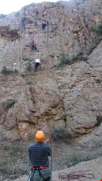 تفرجگاه افیل شامی