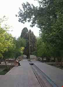 پارک سرو کهنسال مهریز