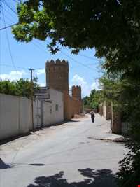 پارک سرو کهنسال مهریز