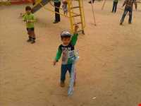 پارک سرو کهنسال مهریز