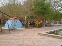 پارک سرو کهنسال مهریز