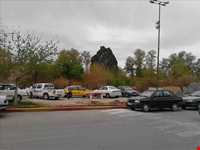 پارک سرو کهنسال مهریز