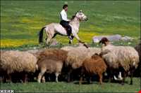 روستای اسکانلو