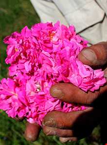 روستای عنصرود