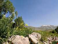 روستای عنصرود