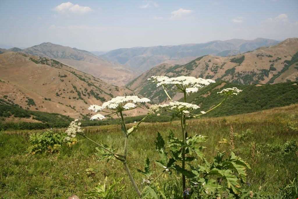 منطقه گردشگری چیچکلی
