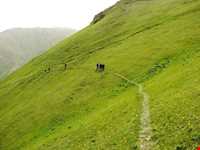 منطقه گردشگری چیچکلی