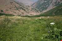 منطقه گردشگری چیچکلی