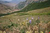 منطقه گردشگری چیچکلی